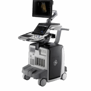 GE Logiq E10