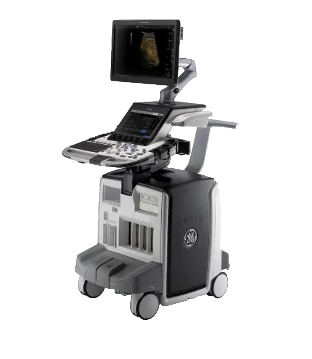 GE Logiq E10